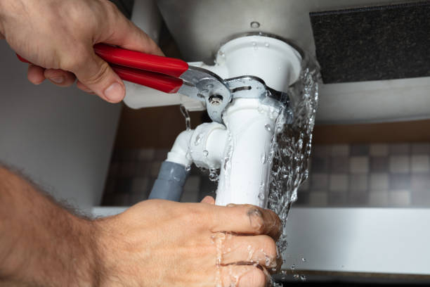Best Water damage contractors near me  in Earlham, IA