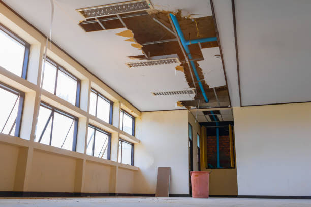 Best Water damage restoration near me  in Earlham, IA