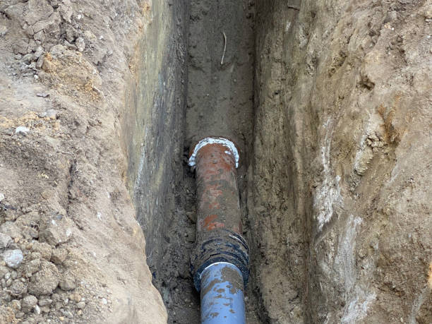 Best Basement water damage restoration  in Earlham, IA