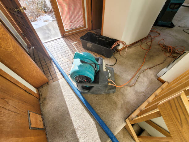  Earlham, IA Water damage restoration Pros