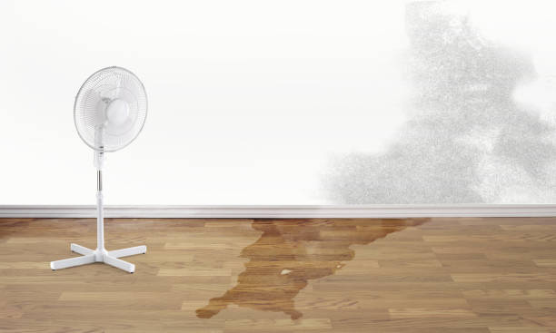Best Water damage restoration near me  in Earlham, IA