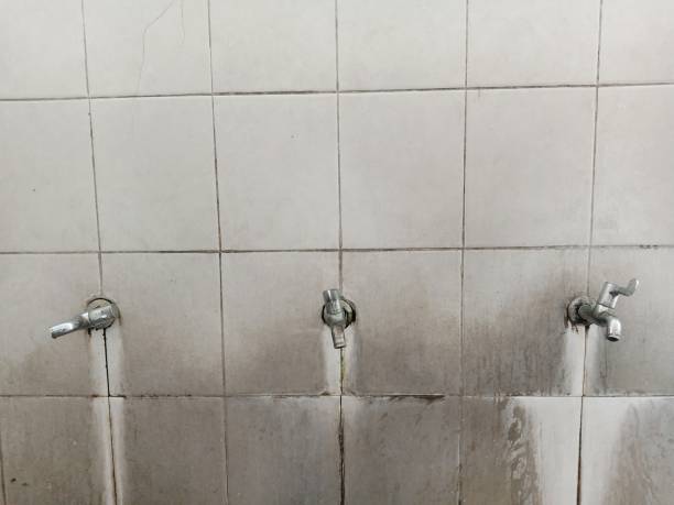 Best Flooded house restoration  in Earlham, IA