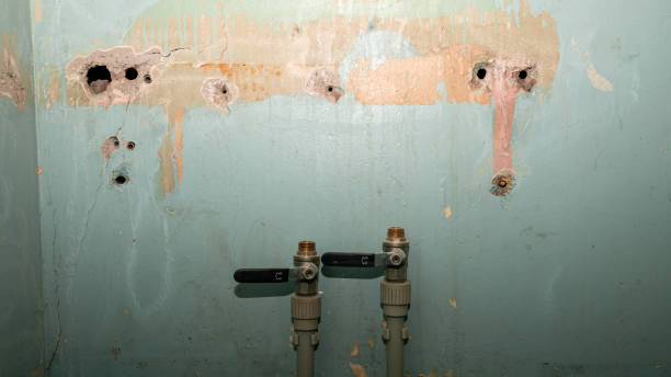 Best Sewage cleanup and water damage restoration  in Earlham, IA