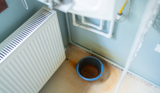 Best Water damage restoration specialists  in Earlham, IA